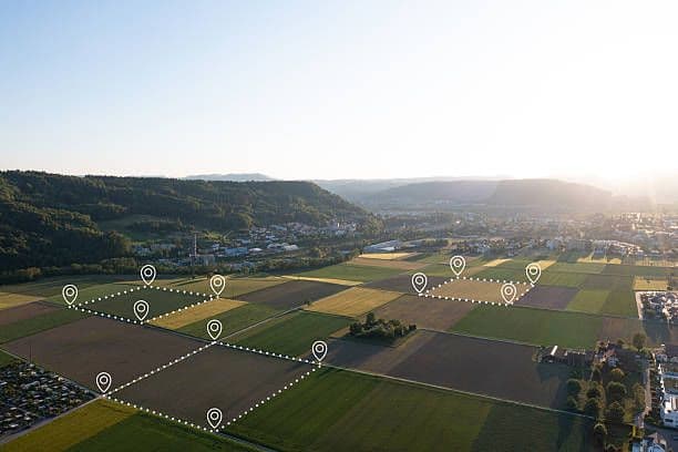 istockphoto-2218659703-612x612.jpg